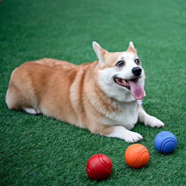 Bola Indestrutível Mastigável para Cães