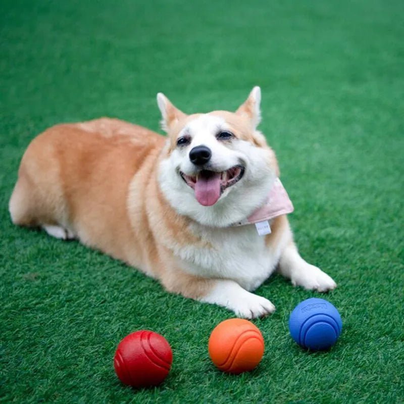 Bola Indestrutível Mastigável para Cães