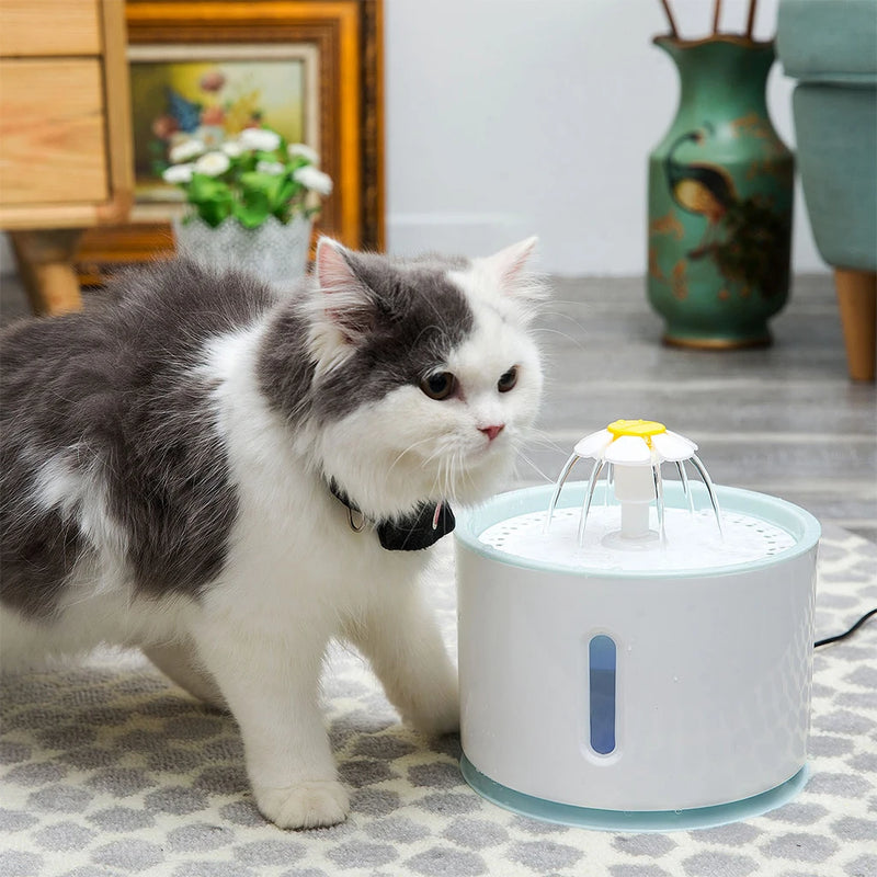 Fonte de Água Elétrica para Gatos - Automático